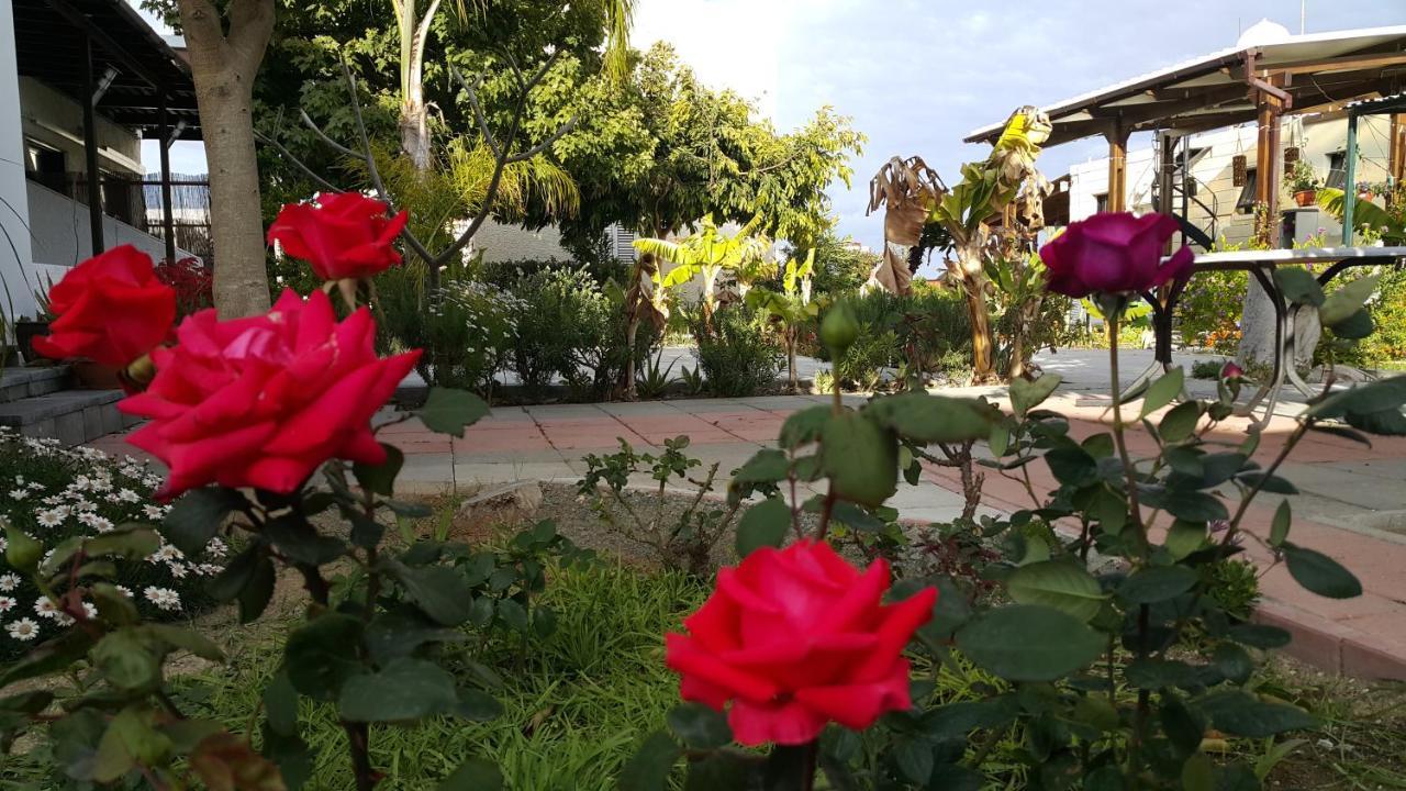 Near The Beach Aparment With Garden Διαμέρισμα Περβόλια Εξωτερικό φωτογραφία